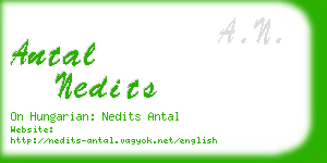 antal nedits business card